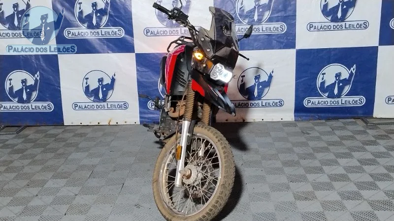 Lote 345 - SHINERAY SHI 175